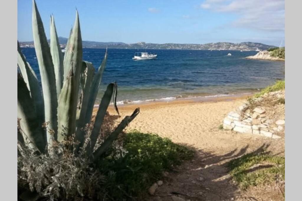 Casa Maddalenina Con Giardino, Vicino Al Mare! Apartment La Maddalena  Ngoại thất bức ảnh